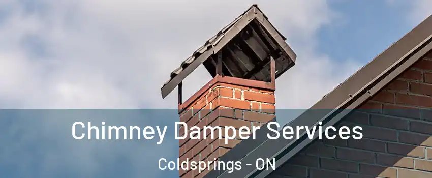 Chimney Damper Services Coldsprings - ON