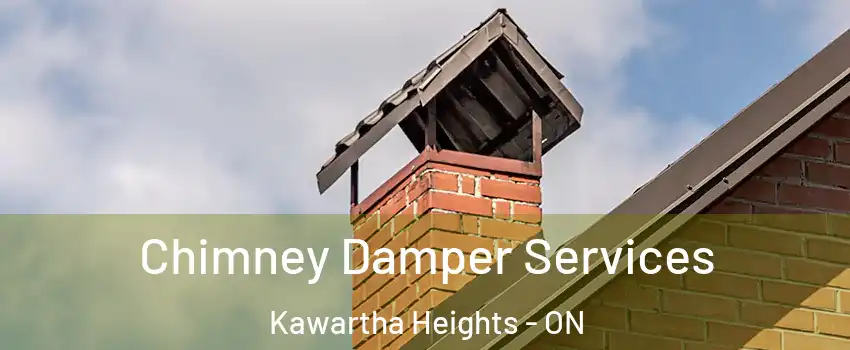  Chimney Damper Services Kawartha Heights - ON