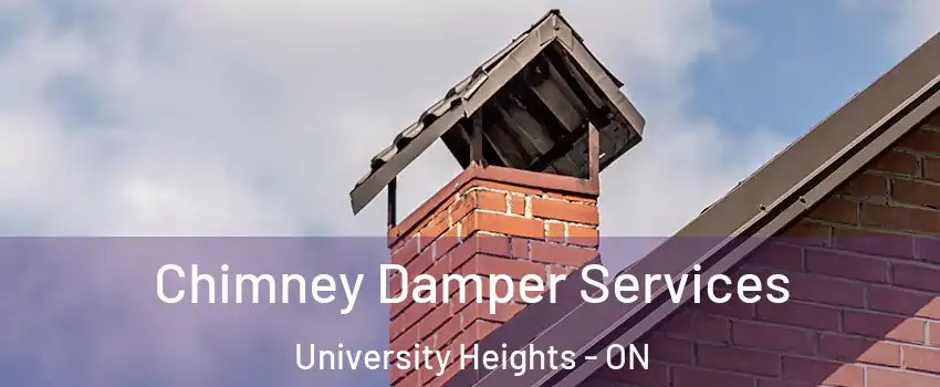 Chimney Damper Services University Heights - ON