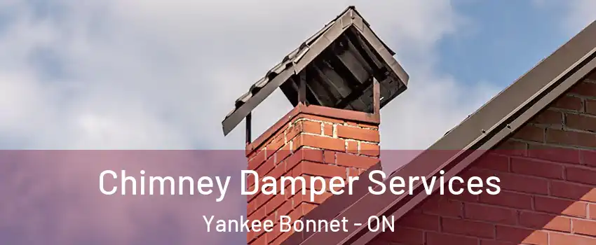 Chimney Damper Services Yankee Bonnet - ON