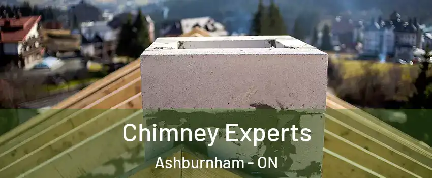  Chimney Experts Ashburnham - ON
