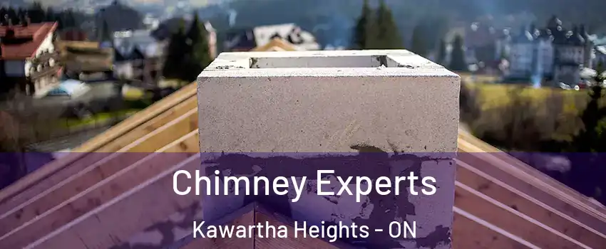 Chimney Experts Kawartha Heights - ON