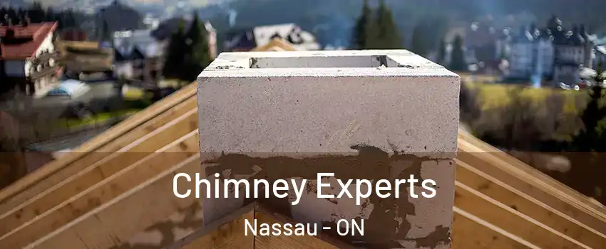  Chimney Experts Nassau - ON