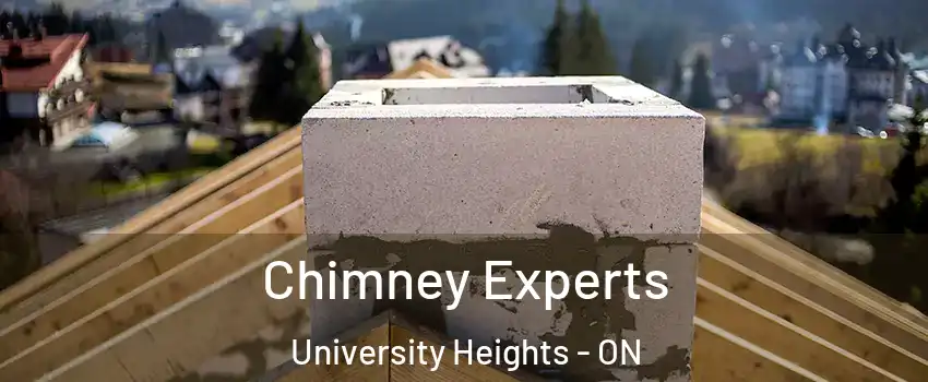 Chimney Experts University Heights - ON