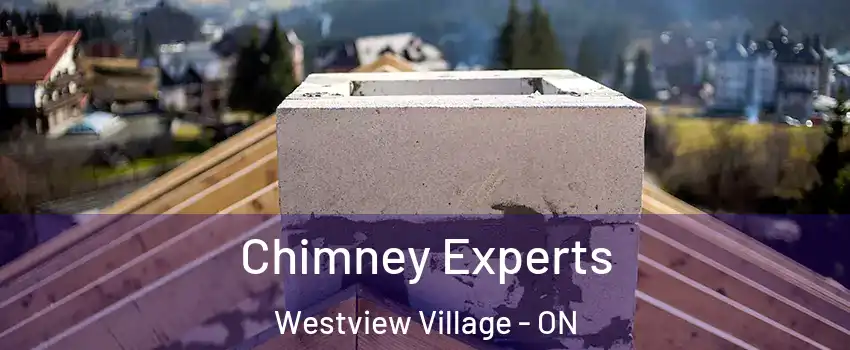  Chimney Experts Westview Village - ON