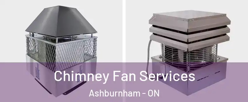 Chimney Fan Services Ashburnham - ON
