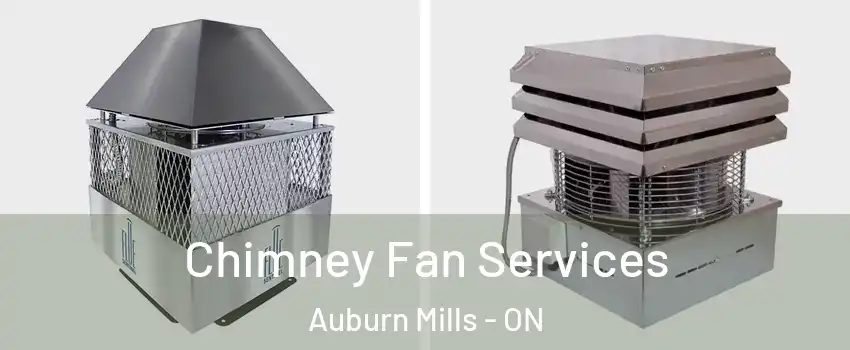  Chimney Fan Services Auburn Mills - ON