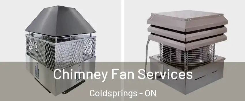 Chimney Fan Services Coldsprings - ON