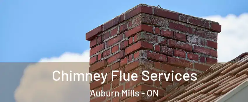  Chimney Flue Services Auburn Mills - ON