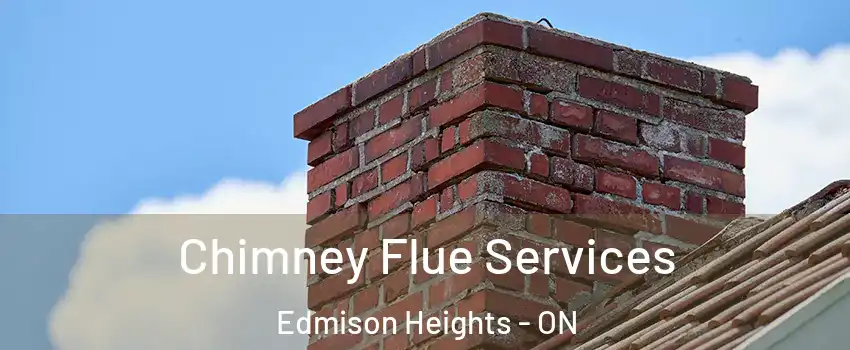 Chimney Flue Services Edmison Heights - ON