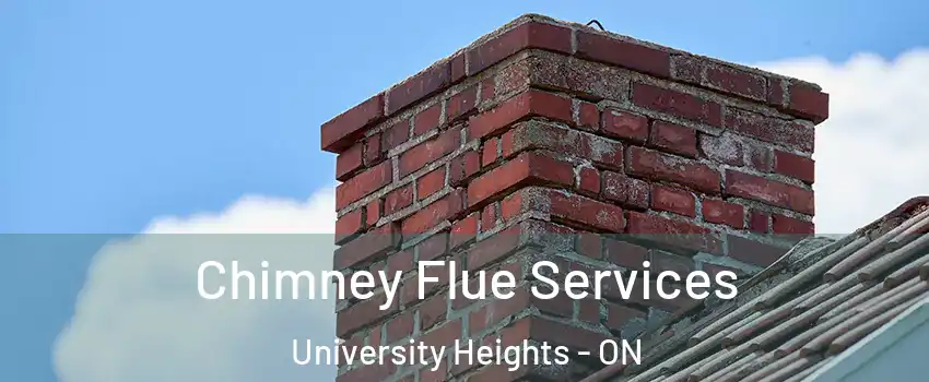 Chimney Flue Services University Heights - ON