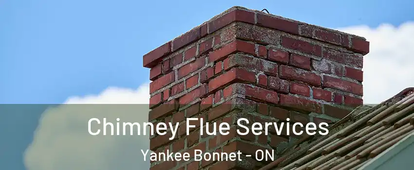 Chimney Flue Services Yankee Bonnet - ON
