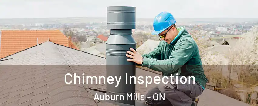 Chimney Inspection Auburn Mills - ON