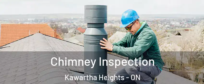  Chimney Inspection Kawartha Heights - ON