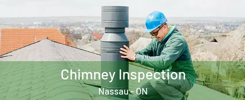 Chimney Inspection Nassau - ON
