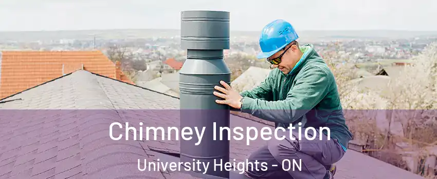  Chimney Inspection University Heights - ON