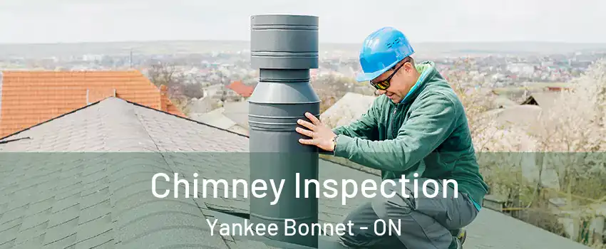  Chimney Inspection Yankee Bonnet - ON