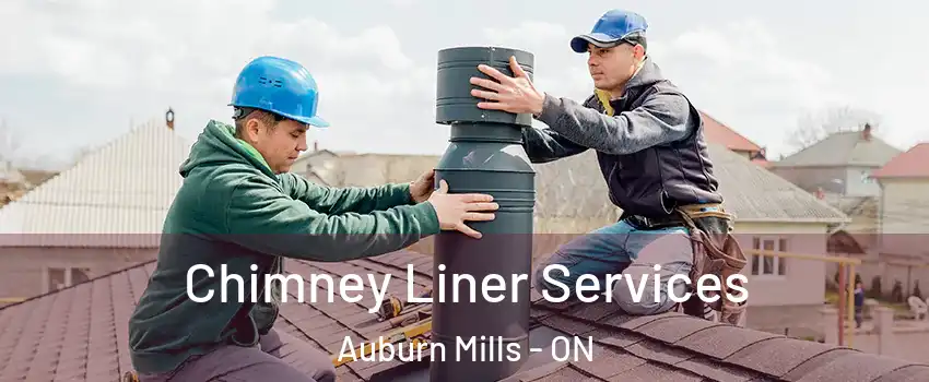  Chimney Liner Services Auburn Mills - ON