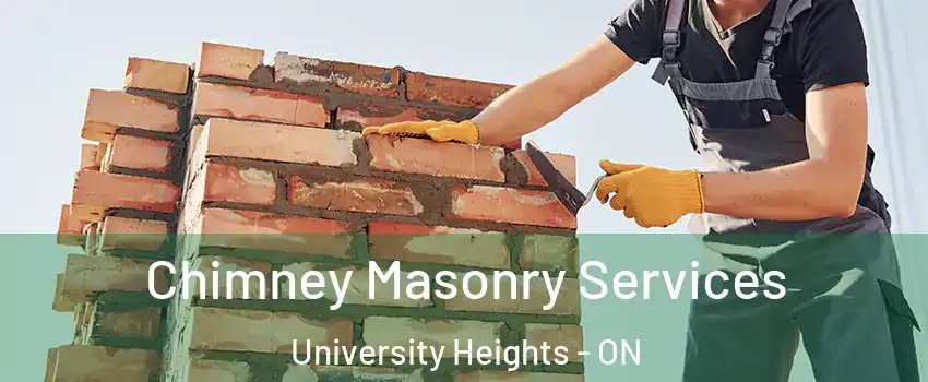 Chimney Masonry Services University Heights - ON