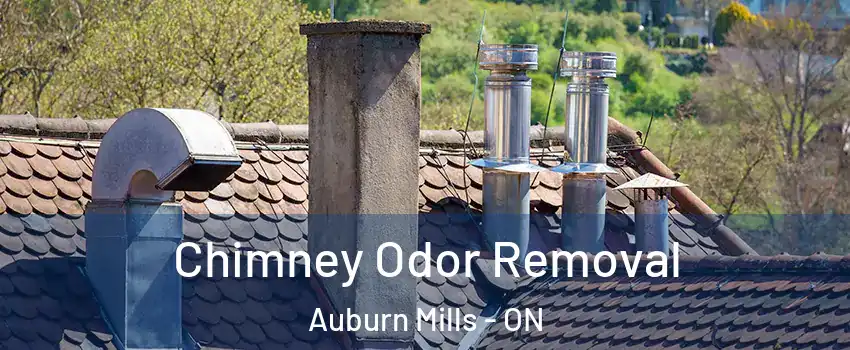 Chimney Odor Removal Auburn Mills - ON