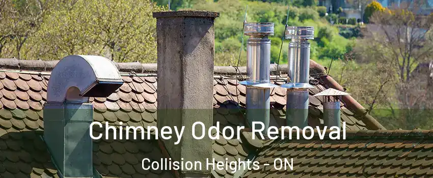 Chimney Odor Removal Collision Heights - ON