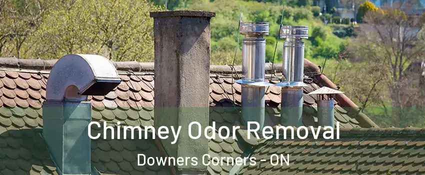  Chimney Odor Removal Downers Corners - ON