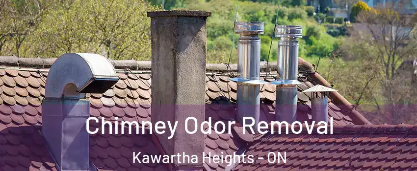  Chimney Odor Removal Kawartha Heights - ON