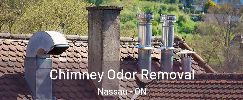  Chimney Odor Removal Nassau - ON