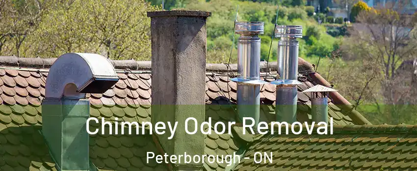  Chimney Odor Removal Peterborough - ON
