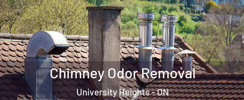  Chimney Odor Removal University Heights - ON