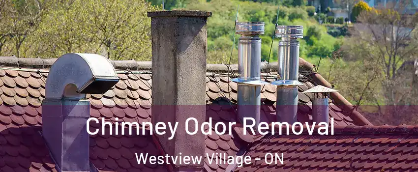  Chimney Odor Removal Westview Village - ON