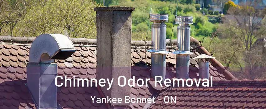 Chimney Odor Removal Yankee Bonnet - ON