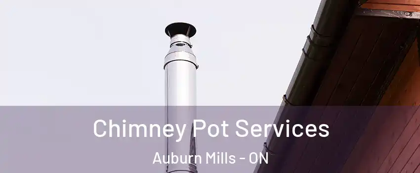  Chimney Pot Services Auburn Mills - ON