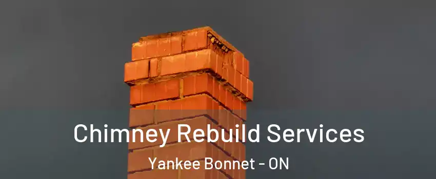 Chimney Rebuild Services Yankee Bonnet - ON
