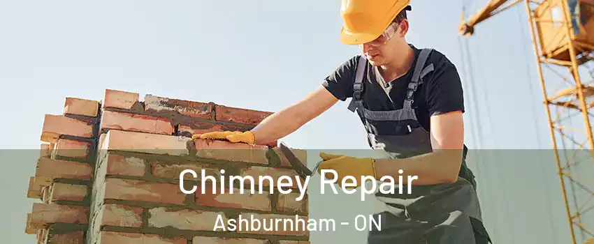  Chimney Repair Ashburnham - ON