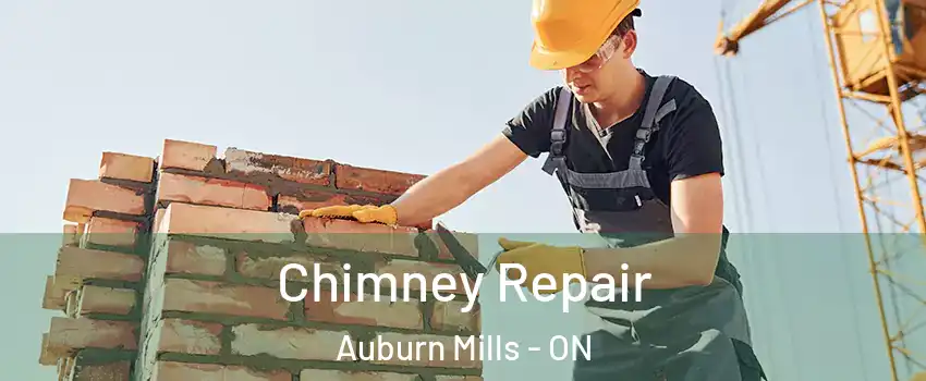 Chimney Repair Auburn Mills - ON