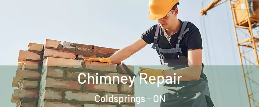 Chimney Repair Coldsprings - ON
