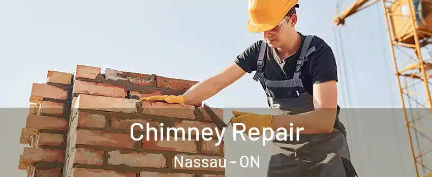  Chimney Repair Nassau - ON