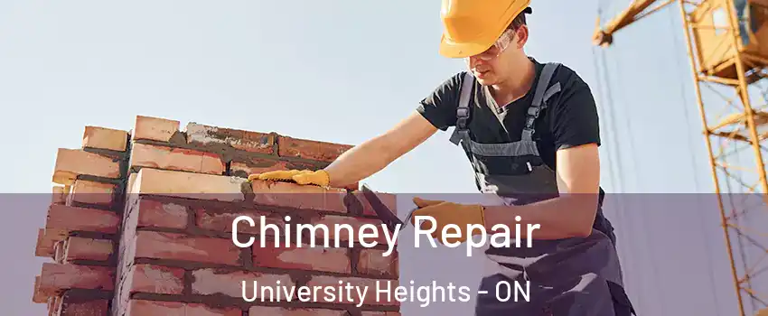 Chimney Repair University Heights - ON