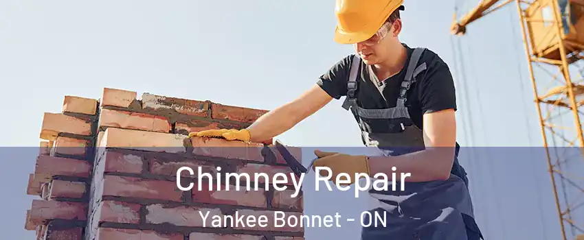  Chimney Repair Yankee Bonnet - ON