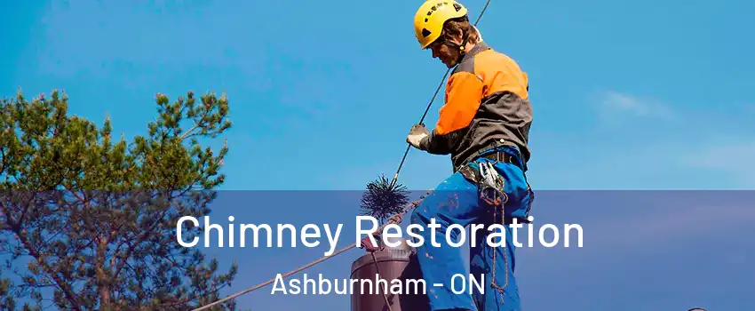  Chimney Restoration Ashburnham - ON