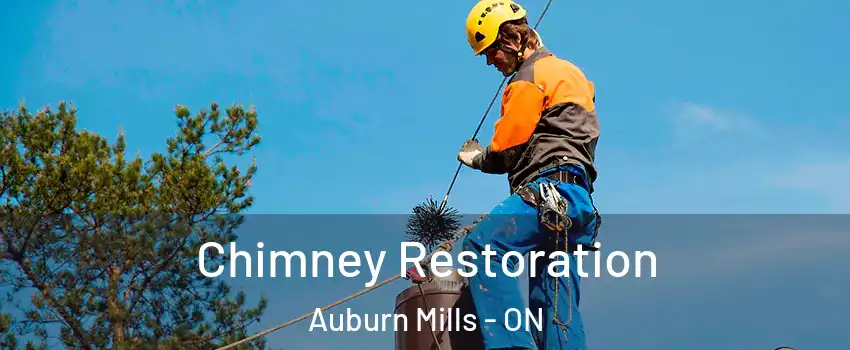  Chimney Restoration Auburn Mills - ON