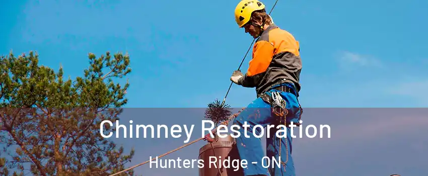  Chimney Restoration Hunters Ridge - ON