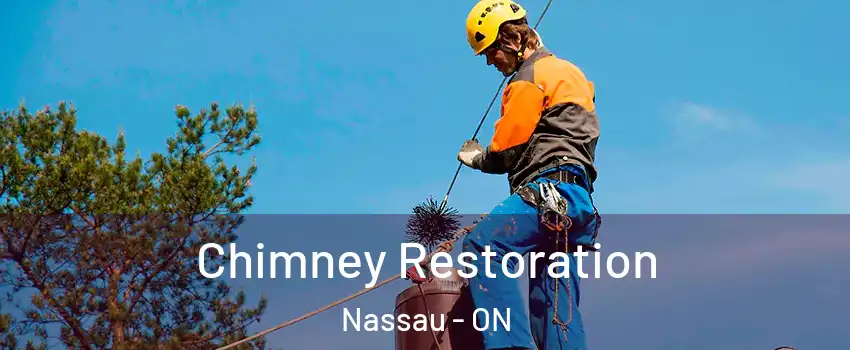  Chimney Restoration Nassau - ON