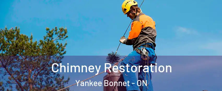 Chimney Restoration Yankee Bonnet - ON