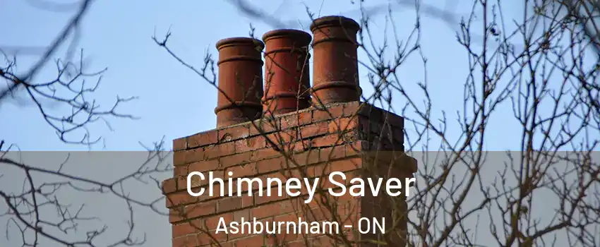 Chimney Saver Ashburnham - ON