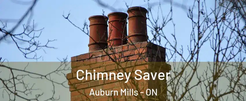  Chimney Saver Auburn Mills - ON