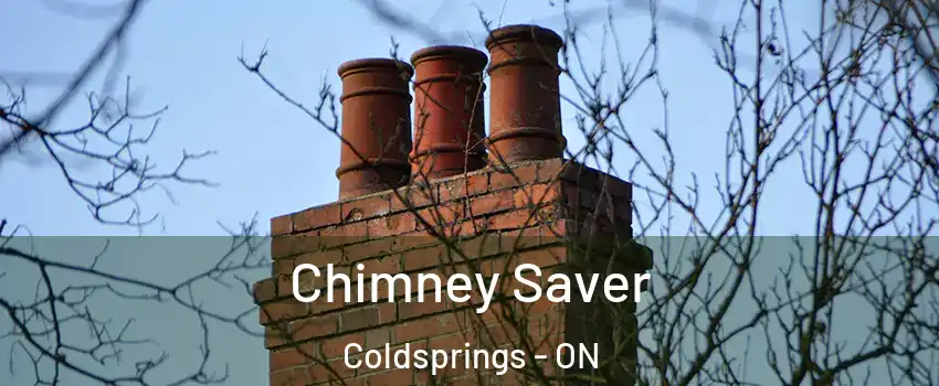 Chimney Saver Coldsprings - ON