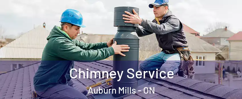  Chimney Service Auburn Mills - ON