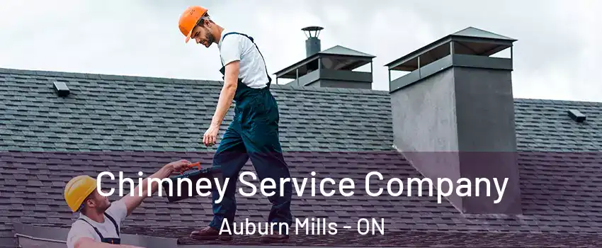  Chimney Service Company Auburn Mills - ON
